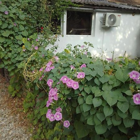 Casa Mocanu Giurgiu Esterno foto