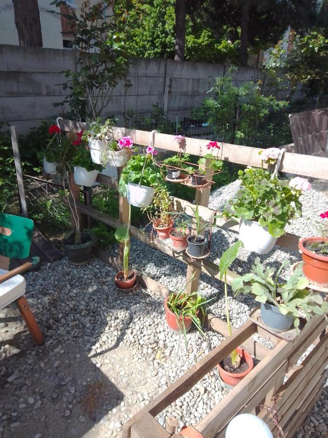 Casa Mocanu Giurgiu Esterno foto