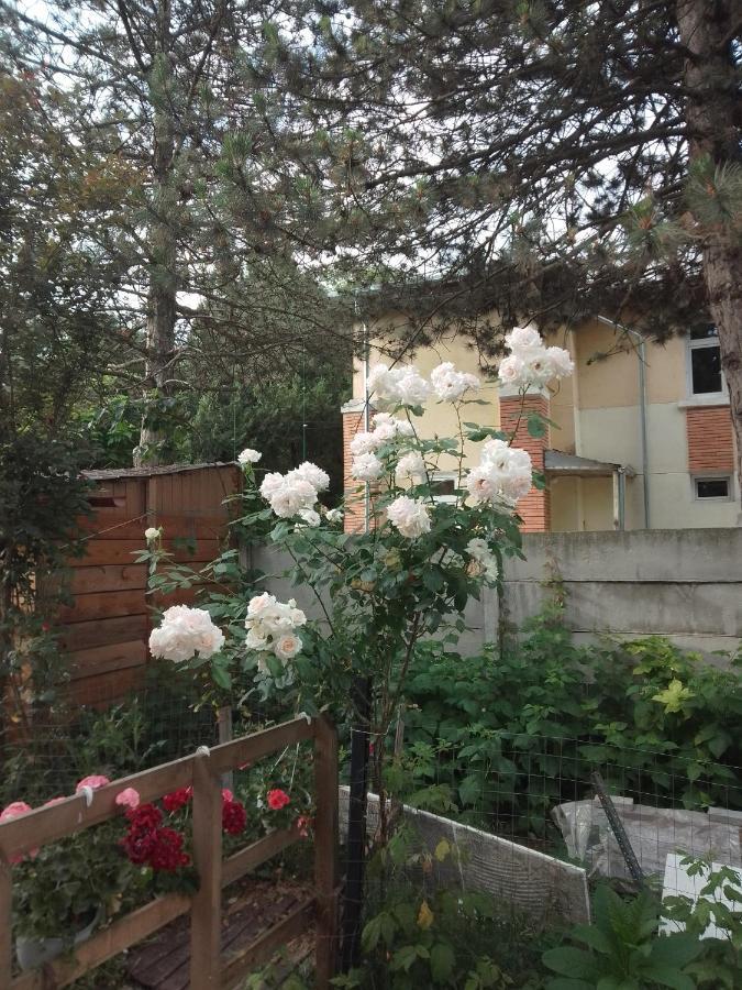 Casa Mocanu Giurgiu Esterno foto